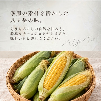八ヶ岳・AlgAe とうもろこしのバスクチーズケーキ 4号