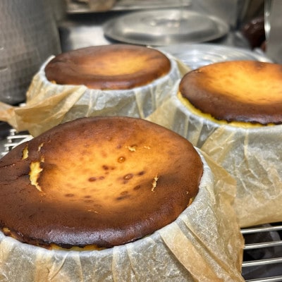 八ヶ岳・AlgAe バスクチーズケーキ プレーン 4号