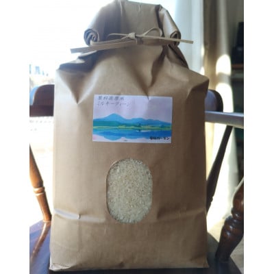 【令和7年産】ミルキークイーン　精米　5kg