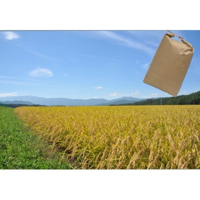 長野県産特別栽培米　ミルキークイーン　精米　5kg