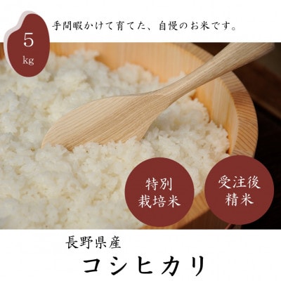 長野県産特別栽培米　コシヒカリ　精米　5kg