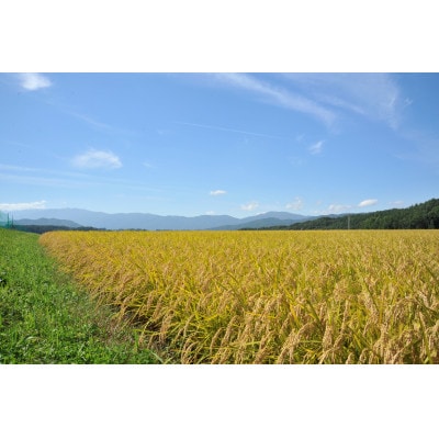 【毎月定期便】長野県産特別栽培米 ミルキークイーン 10kg全3回