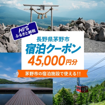 HISふるさと納税宿泊予約専用クーポン(長野県茅野市)45,000円分