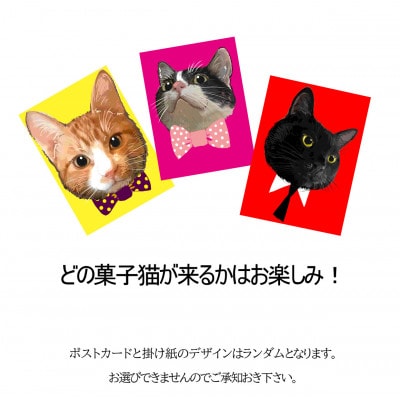 煎餅【菓子猫箱】計6パック入り