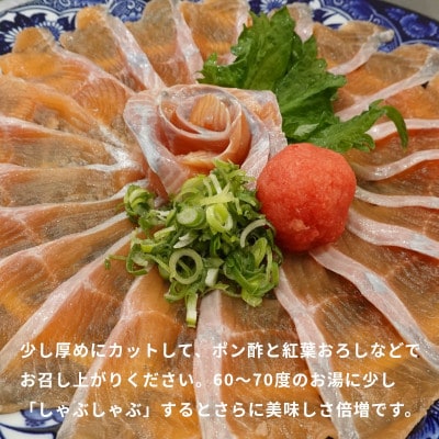 冷凍 八ヶ岳信州サーモン 150g×10パック