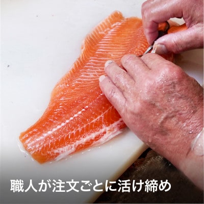 【発送月固定定期便】冷凍 八ヶ岳信州サーモン 150gx2パック全4回