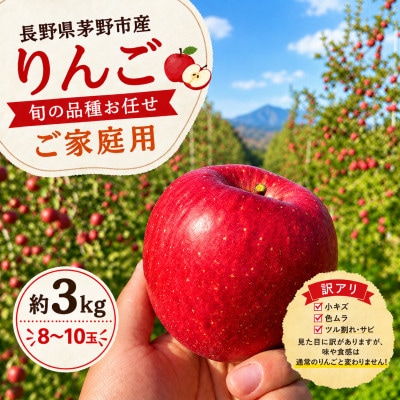旬の品種お任せ【訳アリ】茅野市産りんご3kg(8～10玉)