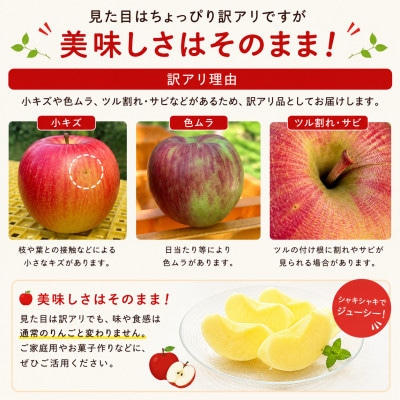 旬の品種お任せ【訳アリ】茅野市産りんご3kg(8～10玉)