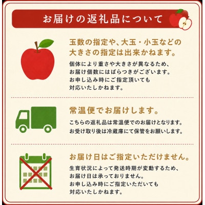旬の品種お任せ【訳アリ】茅野市産りんご3kg(8～10玉)