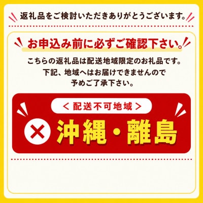 旬の品種お任せ【訳アリ】茅野市産りんご3kg(8～10玉)