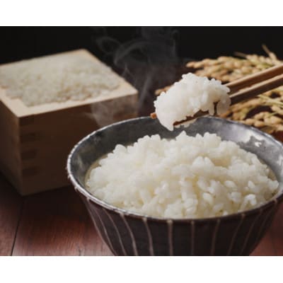 【令和8年産】信州八ヶ岳山麗 長野県産コシヒカリ 精米5kg(5kg×1袋)