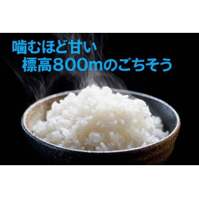 【令和7年産】信州八ヶ岳山麗 長野県産コシヒカリ 精米10kg(10kg×1袋)
