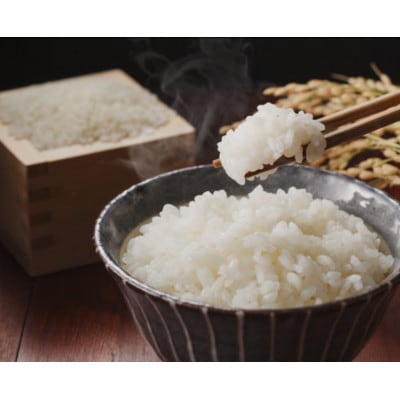 【令和7年産】信州八ヶ岳山麗 長野県産コシヒカリ 精米10kg(5kg×2袋)