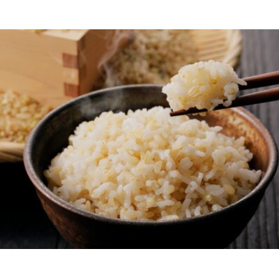 【令和7年産】信州八ヶ岳山麗 長野県産コシヒカリ 玄米　10kg(10kg×1袋)