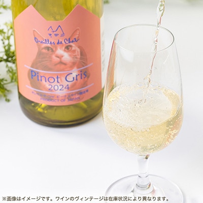 ピノグリ[PinotGris] 750ml 1本