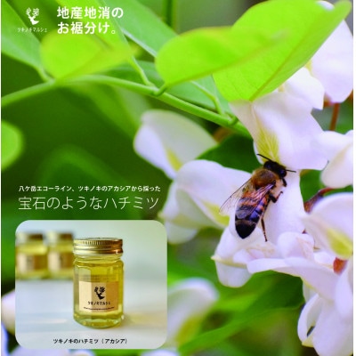 [八ヶ岳泉野]ツキノキマルシェのハチミツセット「アカシアと百花」八ヶ岳西麓の希少品