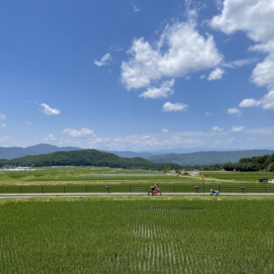 [八ヶ岳泉野]ツキノキマルシェのハチミツセット「アカシアと百花」八ヶ岳西麓の希少品