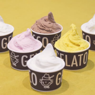定番ジェラート6個セット