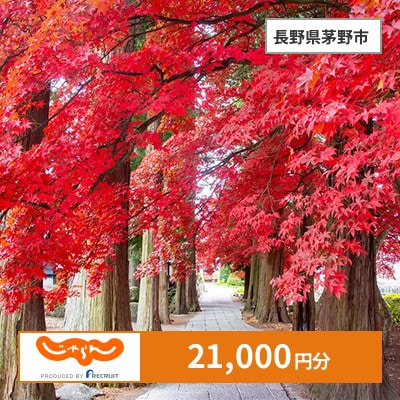【じゃらんふるさと納税クーポン】 長野県茅野市でつかえる21,000円 クーポン
