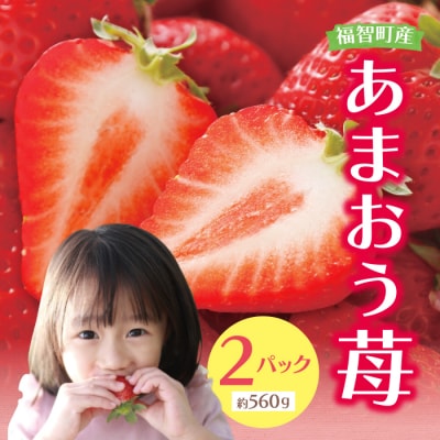 アルギット農業「あまおう苺」(2パック) 