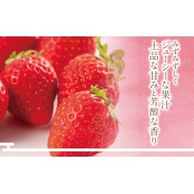 アルギット農業「あまおう苺」(2パック) 