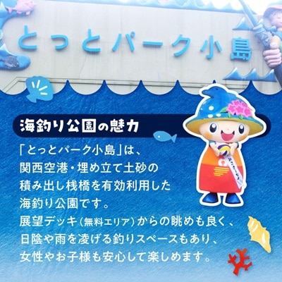 岬町海釣り公園・とっとパーク小島利用券【11枚セット】