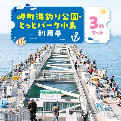 岬町海釣り公園・とっとパーク小島利用券【大人用3枚セット】