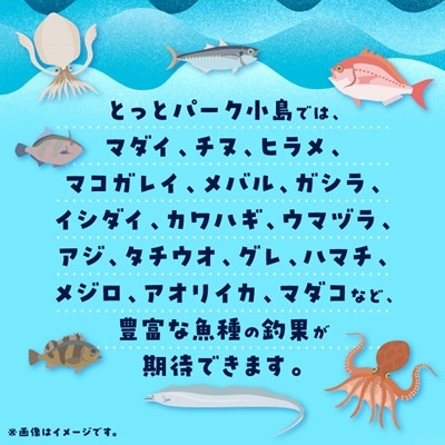 岬町海釣り公園・とっとパーク小島利用券【大人用3枚セット】