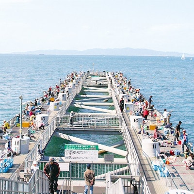 岬町海釣り公園・とっとパーク小島利用券【ファミリーセット】