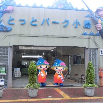 岬町海釣り公園・とっとパーク小島利用券【ファミリーセット】