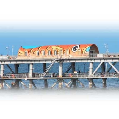 岬町海釣り公園・とっとパーク小島利用券【ファミリーセット】