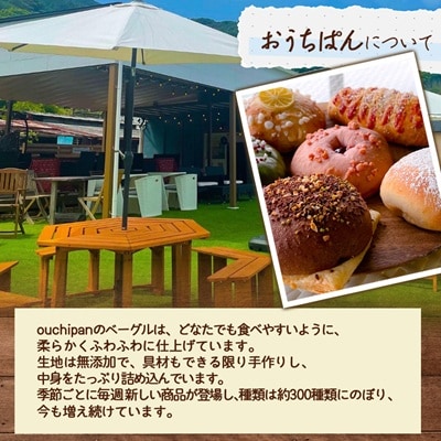 おまかせベーグル20個セット