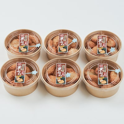 【練り天ぷら合計48個】中塩路の幻天ぷら　小天8個入り×6パック 　