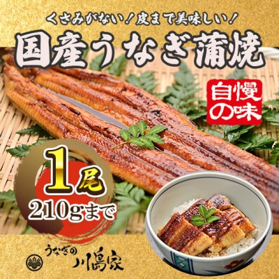 【冷凍1尾】岬町自慢の味　うなぎの川島家　国産うなぎ蒲焼　中サイズ(195～210g)特製タレ付き