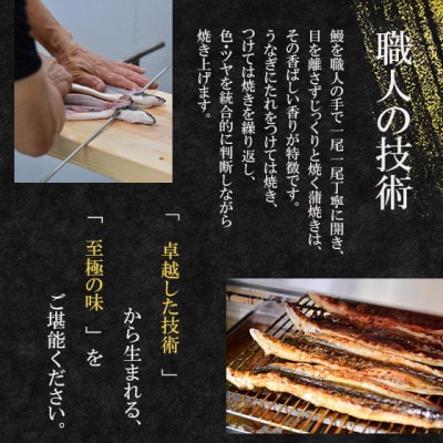 【冷凍1尾】岬町自慢の味　うなぎの川島家　国産うなぎ蒲焼　特大サイズ(226g以上)特製タレ付き