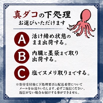 【活け締め】紀淡海峡の恵み・泉州みさき旬の魚/真ダコ1尾　　