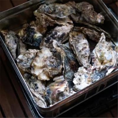【缶付き2kg:約80～50g/個】加熱用真牡蠣　カンカン焼きセット　専用ナイフ付き　