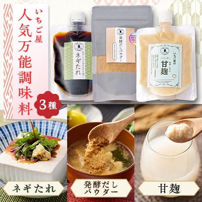 万能調味料人気3点詰合せセット(保存料・着色料無添加)―大阪府岬町・発酵と日本酒いちご屋