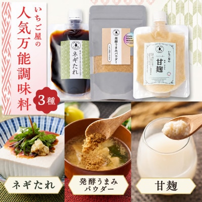 万能調味料人気3点詰合せセット(保存料・着色料無添加)―大阪府岬町・発酵と日本酒いちご屋