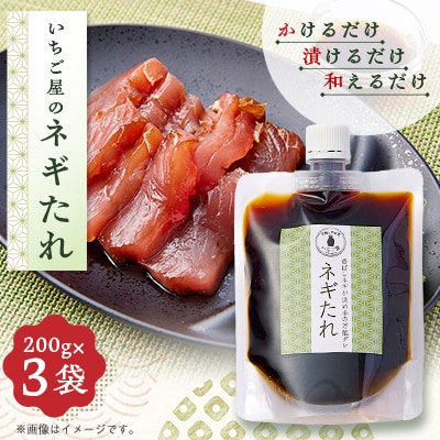 《3袋入り》万能調味料「ねぎタレ」便利なチューブパウチ　保存料・着色料無添加