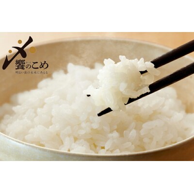 米 令和5年 能登米 こしひかり & のとひかり 精米 各 2kg 計 4kg [38600613]