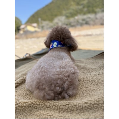 alberton社赤外線を吸収して発熱するsliva knitわんにゃんブランケット　カーキ