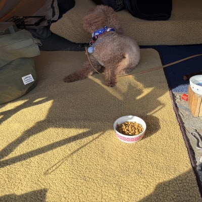 キャンプ、焚火にアルバートン社の難燃・赤外線を吸収して発熱するボアのグランドクロス(カーキー)