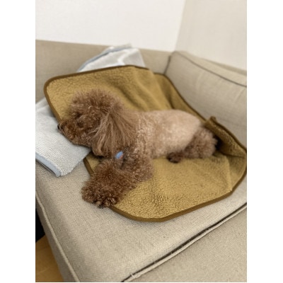 alberton社赤外線を吸収して発熱するsliva knitわんにゃんブランケット カーボン