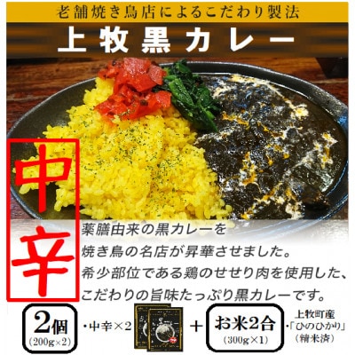 【ご当地カレー】上牧黒カレー(中辛)2個+地元米(ひのひかり)2合をセット