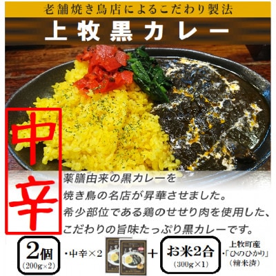 【ご当地カレー】上牧黒カレー(中辛)2個+地元米(ひのひかり)2合をセット