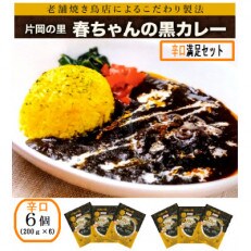 片岡の里春ちゃんの黒カレー　辛口満足セット