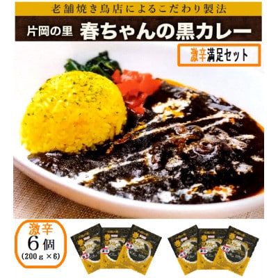 片岡の里春ちゃんの黒カレー　激辛満足セット