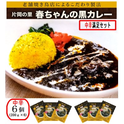片岡の里春ちゃんの黒カレー　中辛満足セット