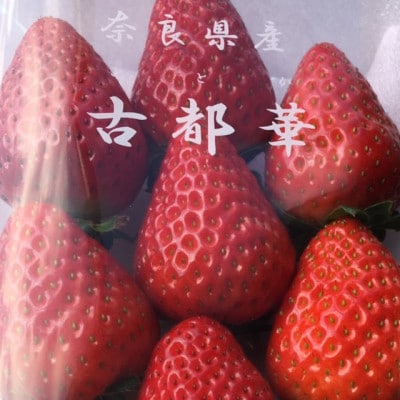 奈良特産品いちご「古都華」250g×2パック